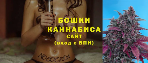 стаф Белокуриха