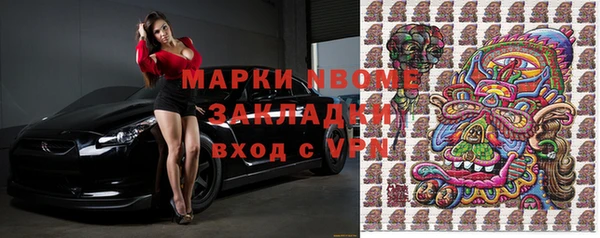 стаф Белокуриха